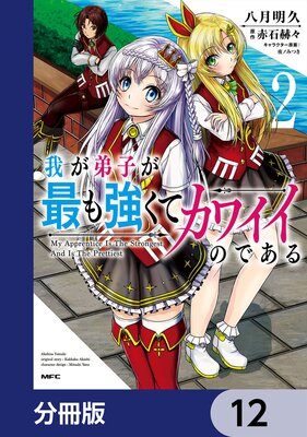 我が弟子が最も強くてカワイイのである【分冊版】 12