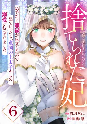 【バラ売り】Berry’sFantasy捨てられた妃 めでたく離縁が成立したので出ていったら、竜国の王太子からの溺愛が待っていました6巻