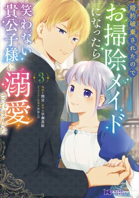婚約破棄されたのでお掃除メイドになったら笑わない貴公子様に溺愛されました(コミック) 3