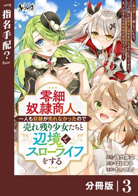零細奴隷商人、一人も奴隷が売れなかったので売れ残り少女たちと辺境でスローライフをする〜毎日優しく接していたら、いつの間にか勝手に魔物を狩るようになってきた。え、この子たち最強種の魔族だったの?〜【分冊版】(ノヴァコミックス)3