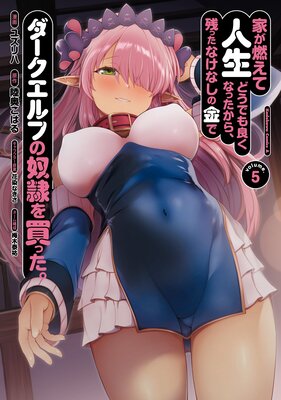 家が燃えて人生どうでも良くなったから、残ったなけなしの金でダークエルフの奴隷を買った。 (5)