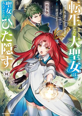 転生した大聖女は、聖女であることをひた隠す A Tale of The Great Saint12【特装版・電子書店共通特典イラスト付】