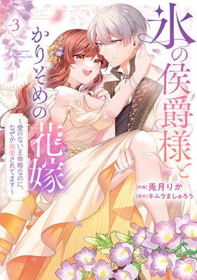 【特装版】氷の侯爵様とかりそめの花嫁〜愛のない王命婚なのに、なぜか溺愛されてます〜(3)【電子限定描き下ろしイラスト付き】