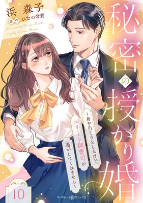 秘密の授かり婚〜身を引こうとしたけど、エリート御曹司が逃がしてくれません〜【分冊版】10話