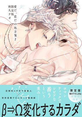愛だ、恋だの処方箋 2 限定版【小冊子&電子限定描き下ろし漫画付き】