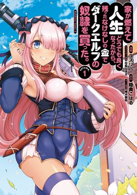 家が燃えて人生どうでも良くなったから、残ったなけなしの金でダークエルフの奴隷を買った。 (1)